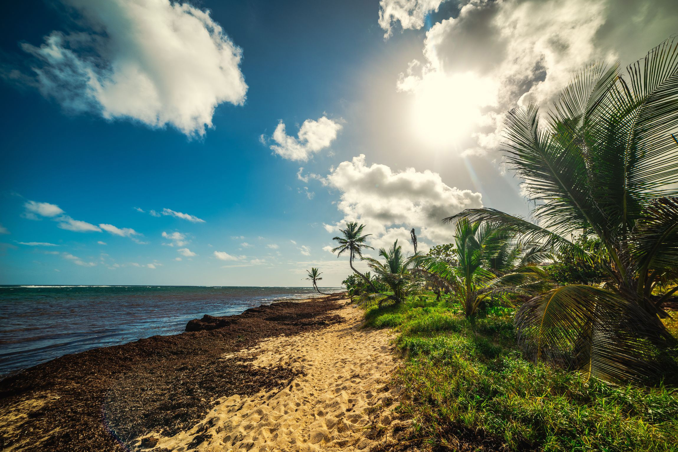 Plage-et-Climat-chaud-de-Guadeloupe