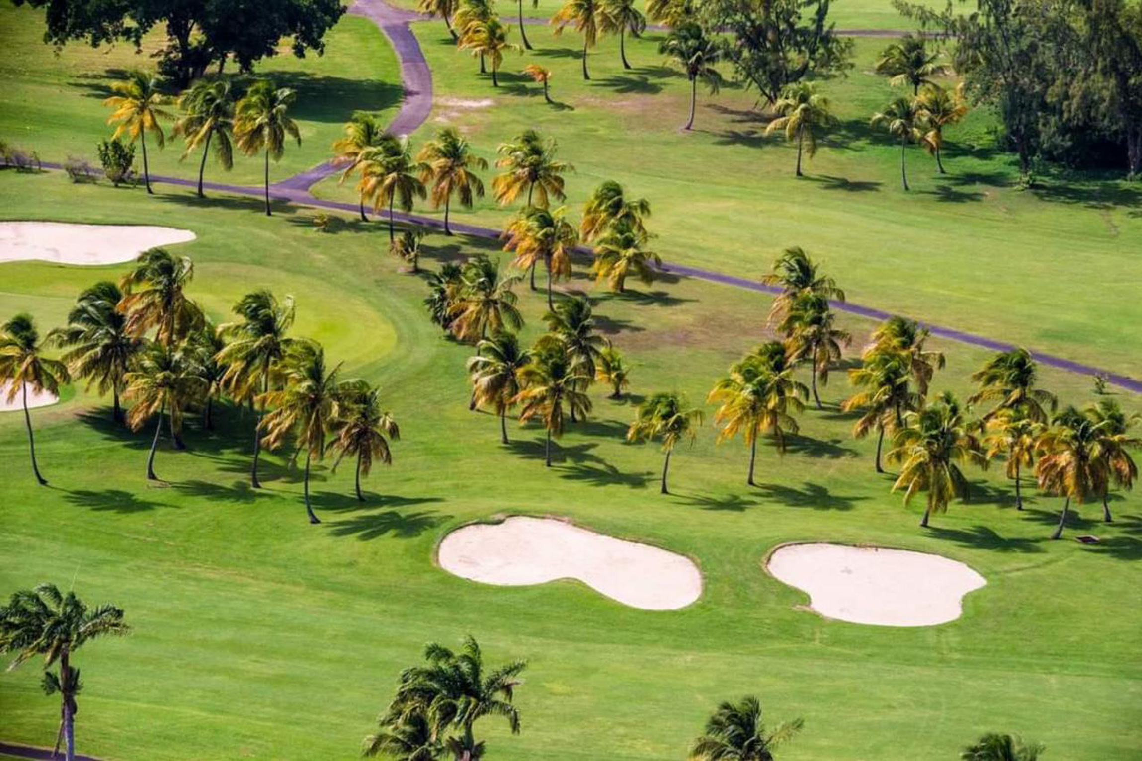 Golf-Guadeloupe-Saint-François---Palmier-Golf-Par-SportiHome