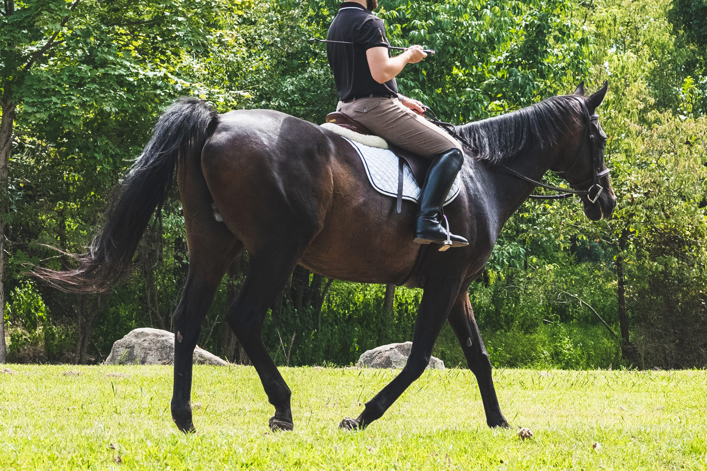 Antilles-Exception-Monter-à-Cheval-Guadeloupe