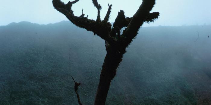 Brouillard-Climat-Guadeloupe