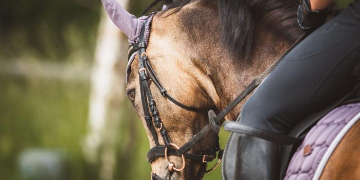 Equitation-Guadeloupe-Antilles-Exception