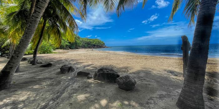 Les plus belles plages de Guadeloupe: Photos et descriptifs
