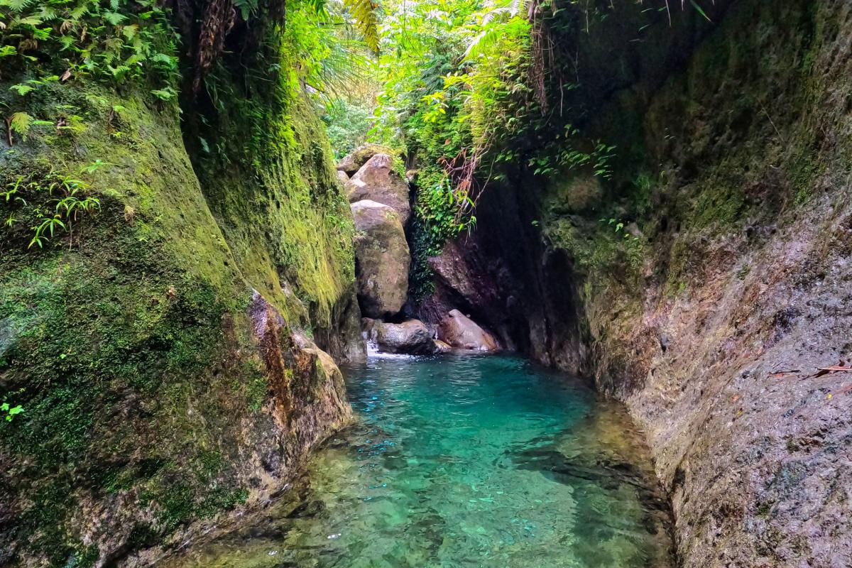 Rivière-l'alma-Martinique-Antilles-Exception