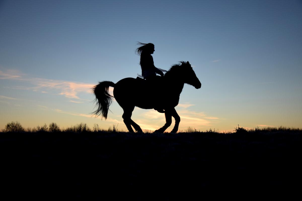 Equitation-Antilles-Exception