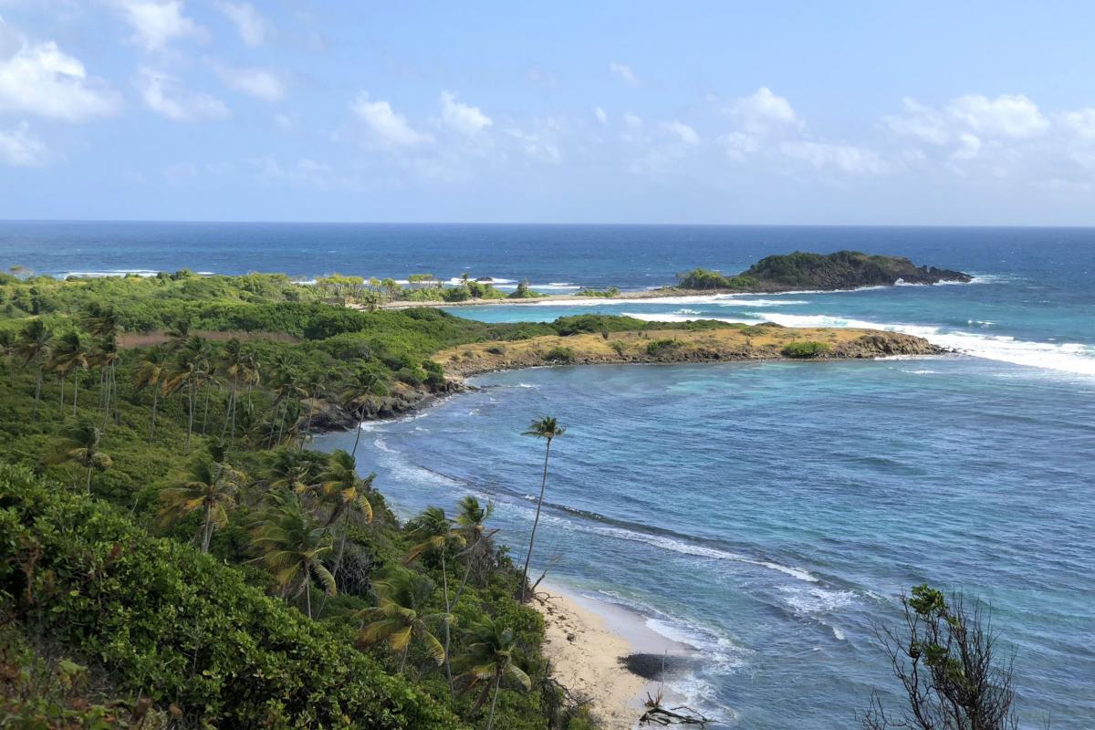 La-cote-Atlantique-Martinique-en-Survole