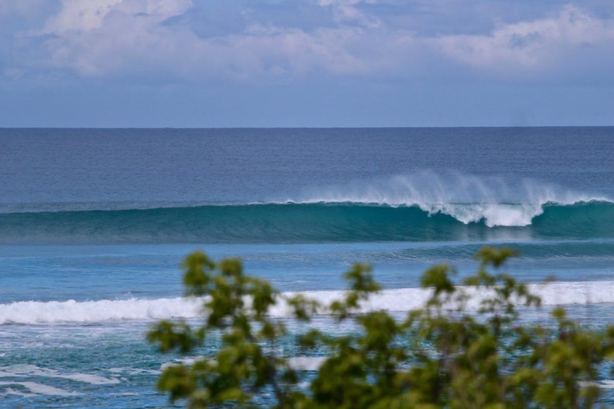 Vague-Surf-Guadeloupe--Surfexcellence