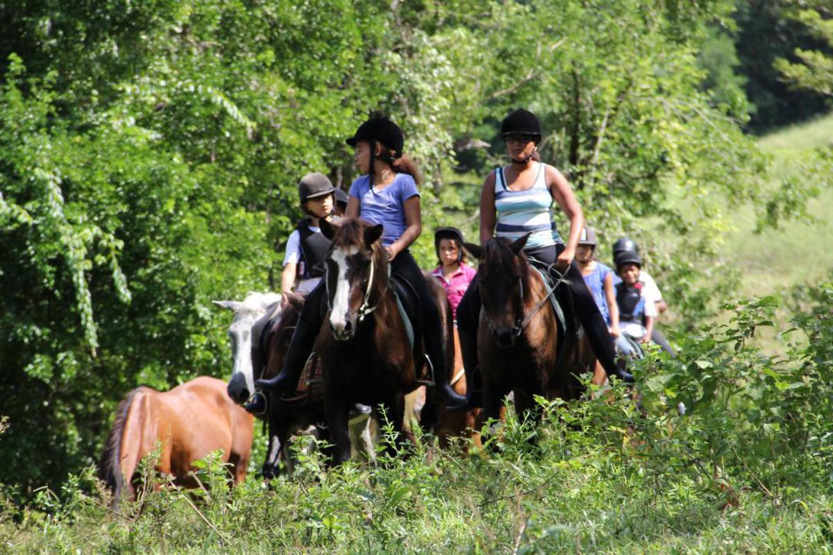 Equitation-Ranch-Jack-Martinique