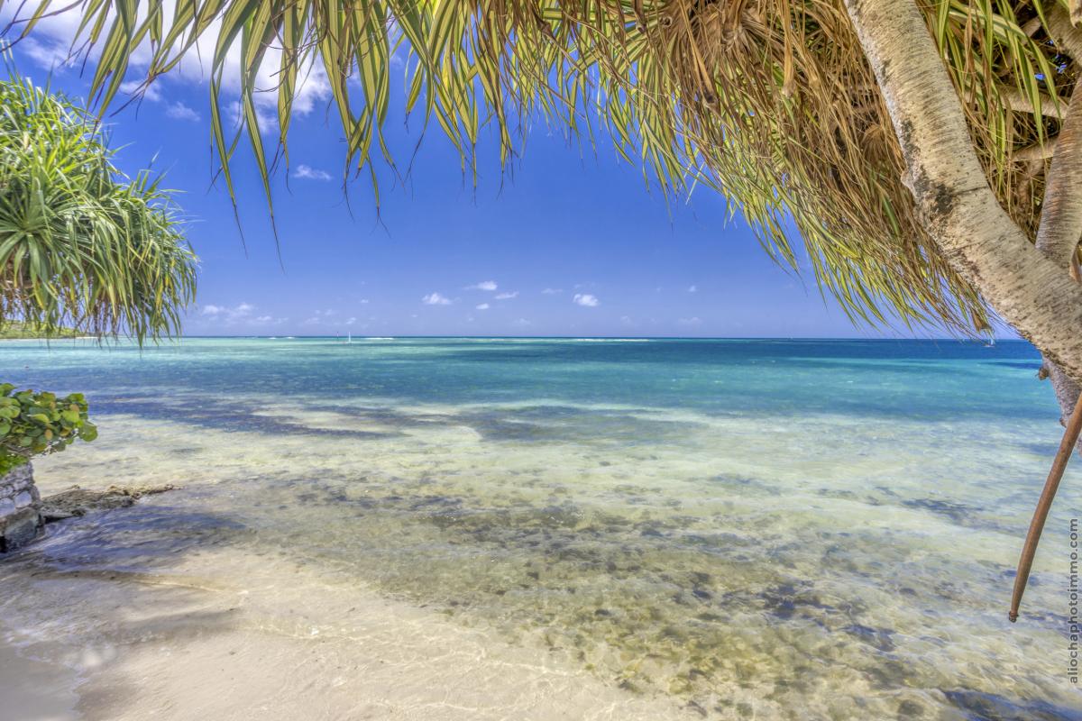 Location villa pied dans l'eau Saint François Guadeloupe_plage